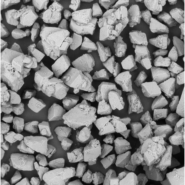 SEM_SacheLac80_web.webp