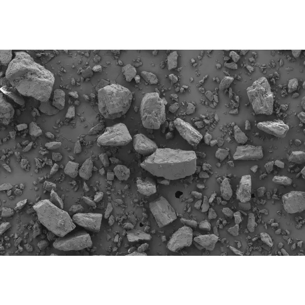 SEM-Graz-GranuLac-140-MEGGLE-product-milled-lactose.webp