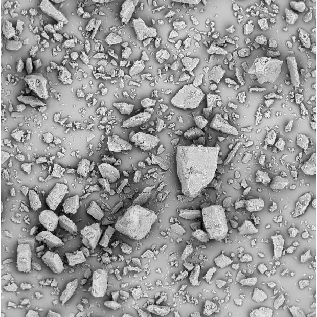 SEM_Inh145_milled_web.webp