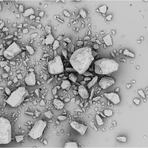 SEM_Inh180_milled_web.webp